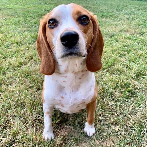 Meet me & Lemon ♥️🥰 - Picture 3 of 4